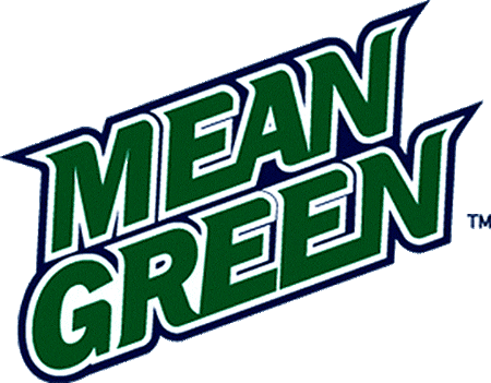 North Texas Mean Green 2003-2004 Wordmark Logo t shirts iron on transfers